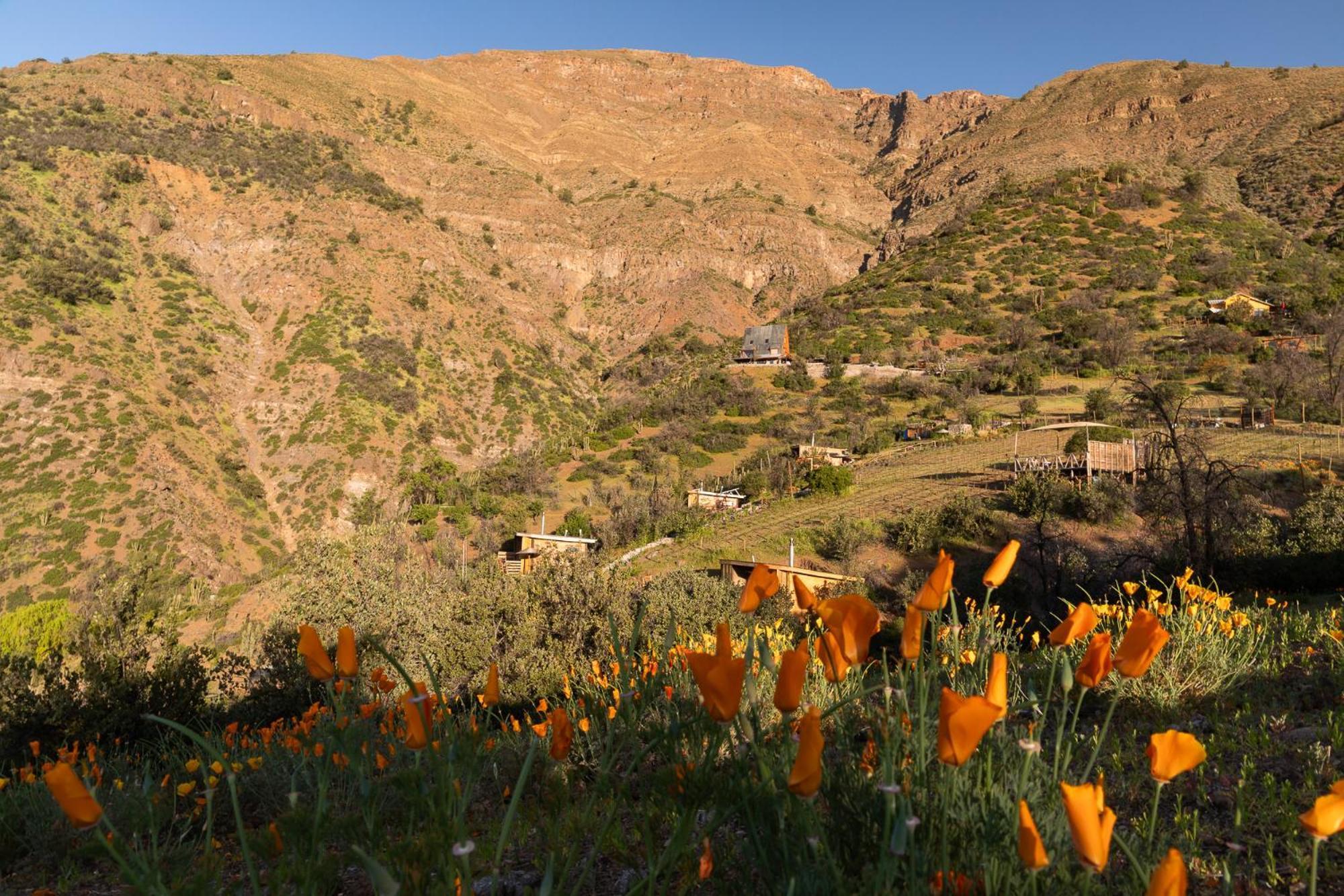 Origen Del Maipo Lodge San José de Maipo Dış mekan fotoğraf